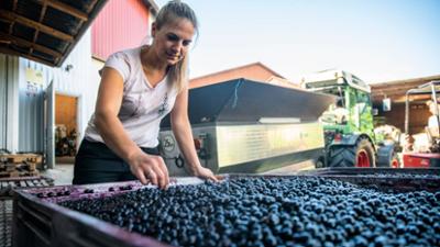 Lecker aufs Land: Neues Leben für ein altes Klosterhofgut (S12/E05)