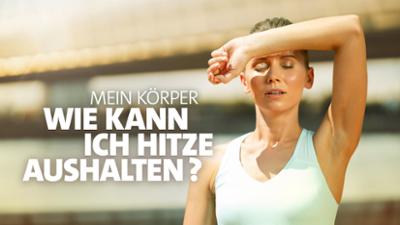Mein Körper: Meine Wohlfühltemperatur. Wie kann ich Hitze aushalten?