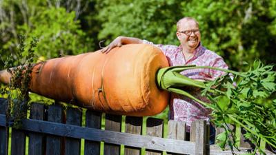 Mein leckerer Garten: Bei Hobbygärtner Volker Conrad