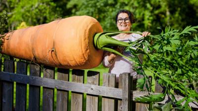 Mein leckerer Garten: Bei Landfrau Saziye Diener Mein leckerer Garten: Bei Landfrau Saziye Diener