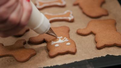 Moppi und der Leckerladen: Hundekuchen