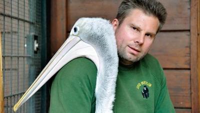 Panda, Gorilla und Co.: Folge 5: Fütterung