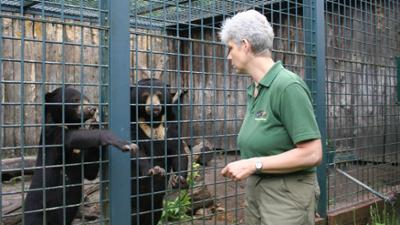 Panda, Gorilla & Co.: Shorties: Die neue Chefin (3)