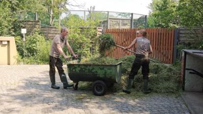 Panda, Gorilla & Co: - Shorties: Beckenreinigung (16)