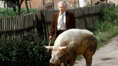 Polizeiruf 110: Mitternachtsfall