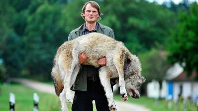 Polizeiruf 110: Wolfsland