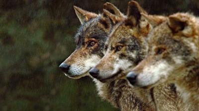 Portugal - Europas wilder Westen: Portugal – Europas wilder Westen