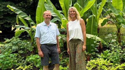 rbb Gartenzeit