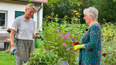 rbb Gartenzeit