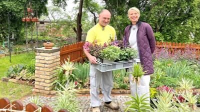 rbb Gartenzeit