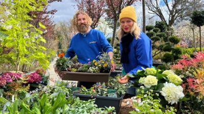 rbb Gartenzeit