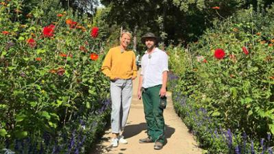 rbb Gartenzeit