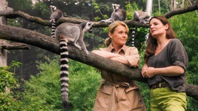 Tierärztin Dr. Mertens: Folge 88: Der Jahrestag (S08/E04)