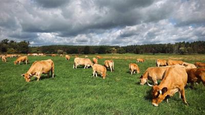 Unterwegs in der Uckermark