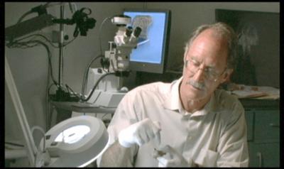 Autopsie - Mysteriöse Todesfälle: Das geheime Grab | Wer ist Jane Doe 29? | Inszenierung mit Leichen