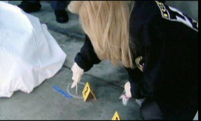 Autopsie - Mysteriöse Todesfälle: Staffel 16, Folge 15: Die Ameisenspur | Kaltblütige Rache | Tödlicher Irrtum