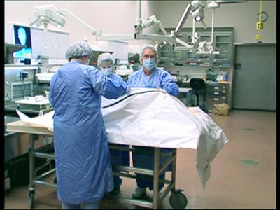 Autopsie - Mysteriöse Todesfälle: Vom Jäger zum Gejagten | Der letzte Kampf | Die Ehe der Donna Boyle