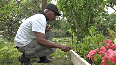 Von Hecke zu Hecke - Bunte Beetgeschichten: Staffel 1, Folge 5: Kleingarten in Gefahr