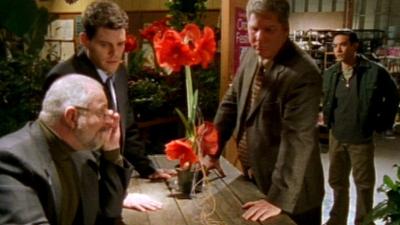 X-Factor: Das Unfassbare: Das schützende Licht | Eine Blume als Zeuge | Tödlicher Zauber | Das alte Fahrrad | Der Klavierlehre