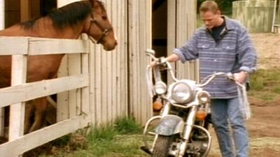 X-Factor: Das Unfassbare: Folge 10: Harley Davidson | Der Blindenhund | Jäger | Die Legende der Krähe | Poker
