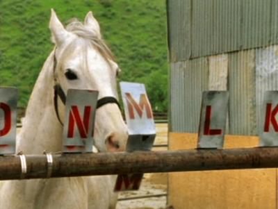 X-Factor: Das Unfassbare: Fernlicht | Der magische Umhang | Rudi Hernandez | Kinderbilder | Das Zirkus-Pferd