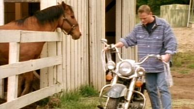 X-Factor: Das Unfassbare: Harley Davidson | Der Blindenhund | Jäger | Die Legende der Krähe | Poker
