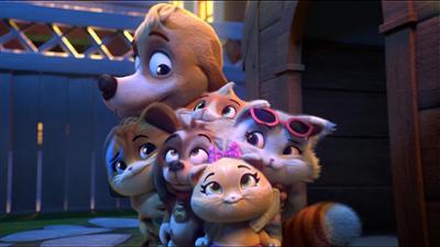 44 Cats: Staffel 1, Folge 2: Welpe in Not