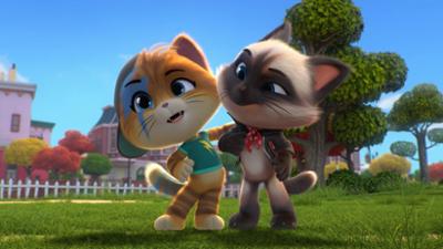 44 Cats: Staffel 1, Folge 30: Einsatz auf dem Dachboden