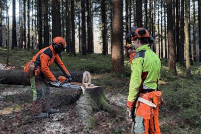Alltagskämpfer - So tickt Deutschland!: Folge 14: Unser Wald, ihr Job - Wenn Holzfällen zur Berufung wird