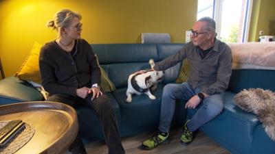 Alltagskämpfer - So tickt Deutschland!: Folge 3: Stress an der Leine - Arbeit für die Hundepsychologin