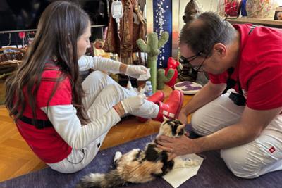 Alltagskämpfer - So tickt Deutschland!: Folge 8: Erste Hilfe für vier Pfoten - Mit der Tierrettung im Einsatz