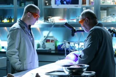 CSI: Den Tätern auf der Spur: Staffel 7, Folge 6: Verhalten ohne Vernunft CSI: Den Tätern auf der Spur: Staffel 7, Folge 6: Verhalten ohne Vernunft
