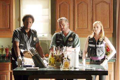 CSI: Den Tätern auf der Spur: Staffel 6, Folge 3: Beiss mich!