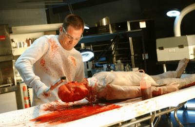 CSI: Den Tätern auf der Spur: Staffel 5, Folge 17: Zweifelhaftes Geständnis