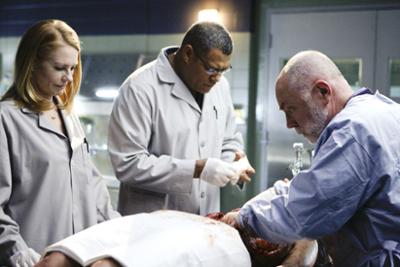 CSI: Den Tätern auf der Spur: Staffel 9, Folge 13: Frittiertes & Minze
