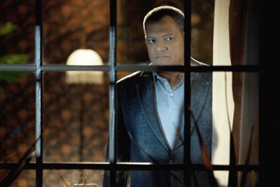 CSI: Den Tätern auf der Spur: Staffel 11, Folge 19: Katzenjammer