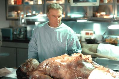 CSI: Den Tätern auf der Spur: Staffel 7, Folge 20: Laborratten