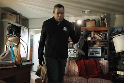 CSI: Den Tätern auf der Spur: Staffel 11, Folge 16: Das Cabinet des Dr. Aden