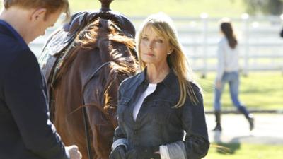 CSI: Miami: Folge 14: Stutenbisse
