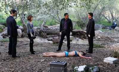 CSI: New York: Staffel 7, Folge 20: Kofferleiche