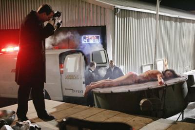 CSI: New York: Staffel 2, Folge 11: Tod im Rampenlicht