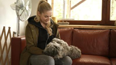 Dein perfekter Hund: Folge 2
