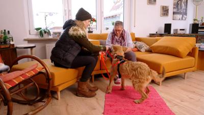 Dein perfekter Hund: Folge 6