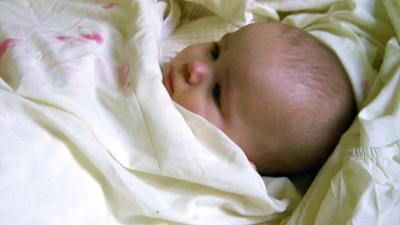 Der Blaulicht Report: Folge 38: Küsterin findet Baby auf Altar