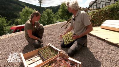 Die Beet-Brüder: Staffel 8, Folge 5: Anpacken im Sauerland