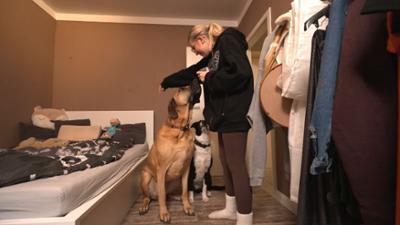 Die großen Hunde - Mit Martin Rütter: Folge 8