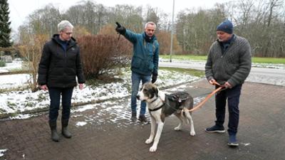 Die großen Hunde - Mit Martin Rütter: Folge 2