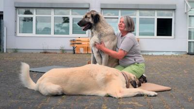 Die großen Hunde - Mit Martin Rütter: Folge 3