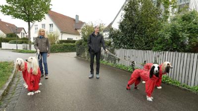 Die großen Hunde - Mit Martin Rütter: Folge 2