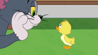 Die Tom und Jerry Show: Staffel 2, Folge 91: Des einen Freud, des anderen Leid